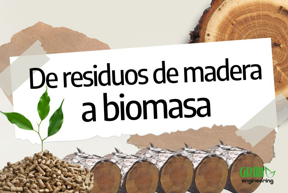 Troncos de madera junto a título "De residuos de madera a biomasa"