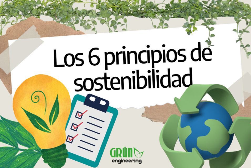 Íconos de planeta, reciclaje, foco y energía verde, junto al texto "Los 6 principios de la sostenibilidad"