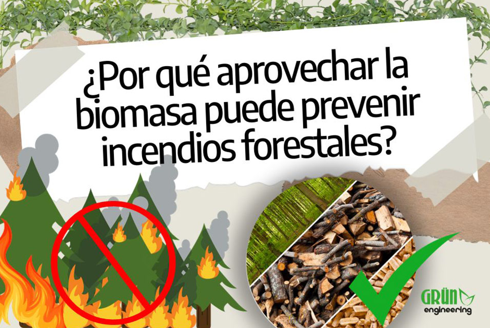 Ilustració de árboles incendiándose junto a texto "¿Por quñe aprovechar la biomasa puede prevenir incendios forestales?"