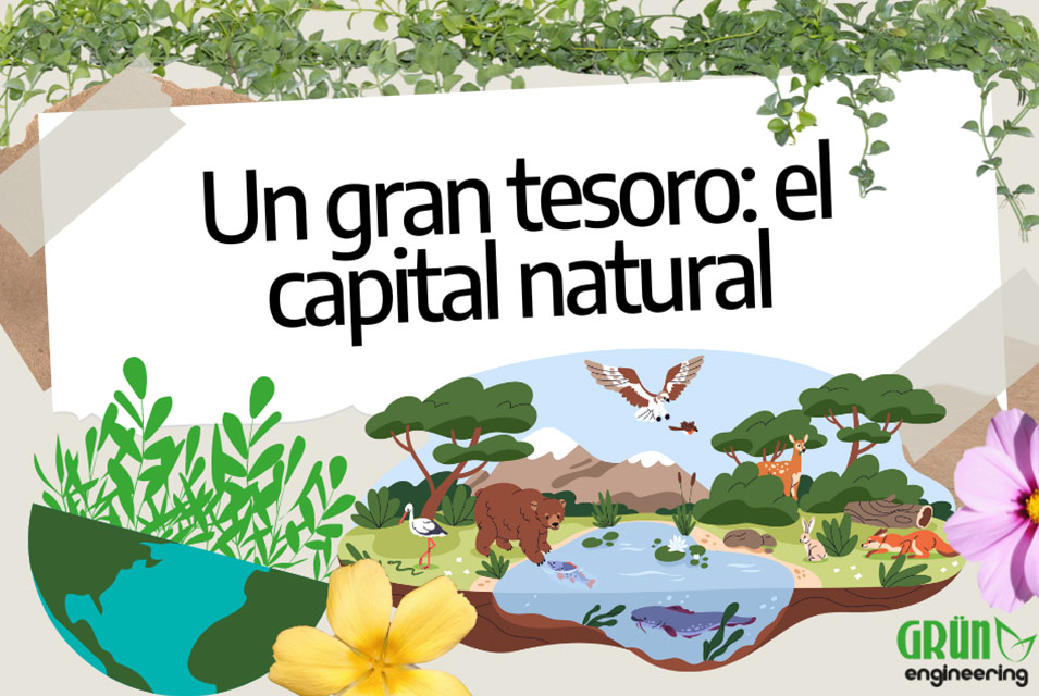 Ilustración del medio ambiente con árboles y animales, junto al texto "Un gran tesoro: el capital natural"