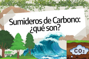 Símbolo de CO2 e ilustraciones de olas y árboles, junto al texto: "Sumideros de Carbono: ¿qué son?".